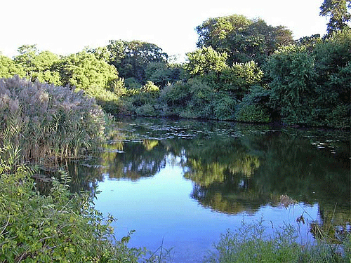 gartdiner's lake