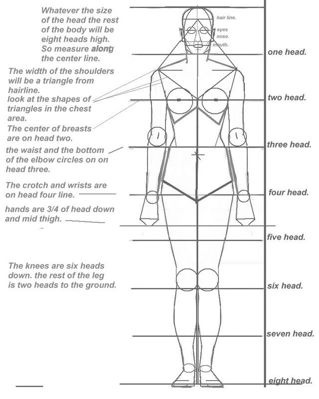 Human Proportions  -  The very basics